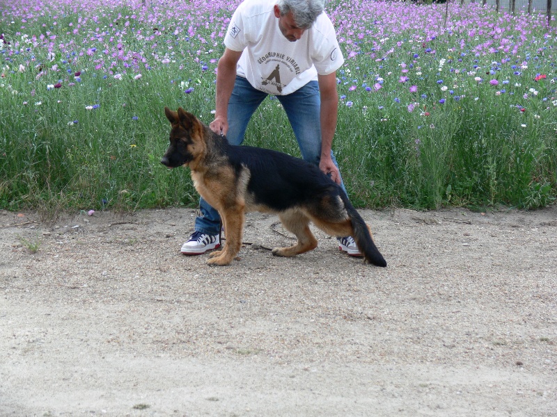 Hélès De La Vallée De L'authion